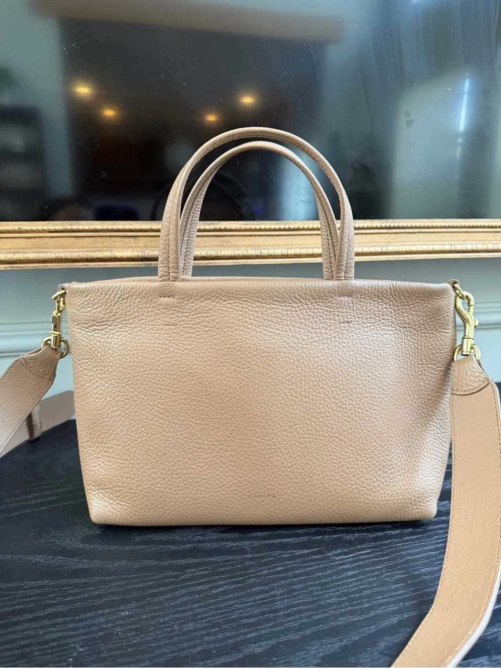Cuyana Cappucino Mini Easy Zipper Tote